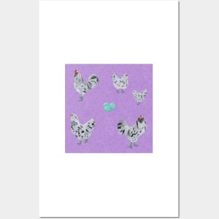 Splash Ameraucana Pattern Purple Posters and Art